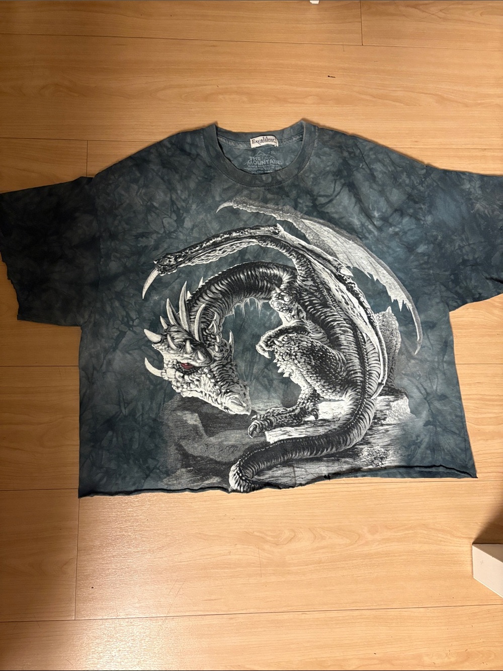 The Mountain Blue-Gray Dragon Graphic Tee